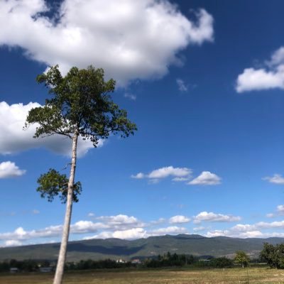 Jakkrit_No1's profile picture. 