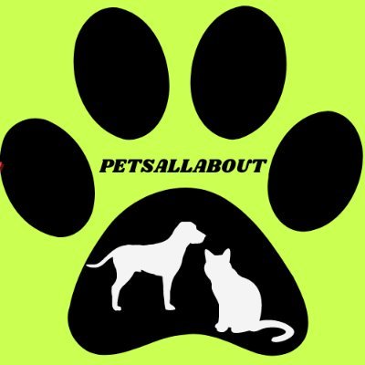 Richarddso34307's profile picture. “🐾 Sharing the best pet products & tips for happy, healthy pets! 🐶🐱 Unboxings, reviews, and must-haves for your furry friends. Follow for pet care essentials