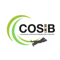 COSIB (@cosib_uami) 's Twitter Profile