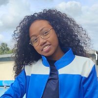 Irariantsoa Ra (@irariantsoa) 's Twitter Profile