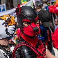 Nord 🐾 (@skynor13) 's Twitter Profile
