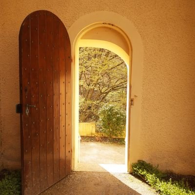 sibywe's profile picture. RT does not mean automatically agreement