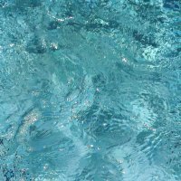 Cecilia Guo (@cc2kl5) 's Twitter Profile
