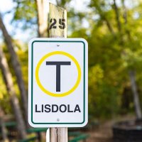 LISDOLA (@lisdola_tx) 's Twitter Profile
