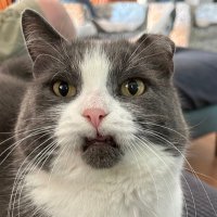Ref sch (@refsch) 's Twitter Profile