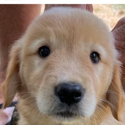 PeterKenne42407's profile picture. 