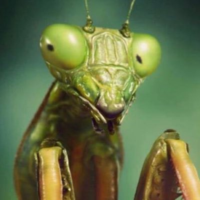 speechmommy1's profile picture. 