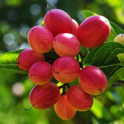 MZN_MMA's profile picture. 