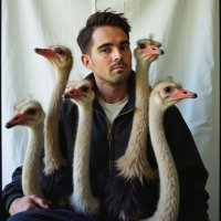 Olof Lindh (@lindh) 's Twitter Profile Photo Olof Lindh (@lindh) 's Twitter Profile Photo