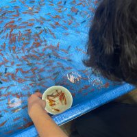 pa (@pataka_anime) Twitter profile photo