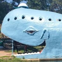 Ripping Whale (@zacurate) 's Twitter Profile Photo