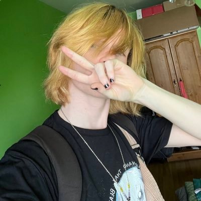 Staff Writer @thegamerwebsite, Zelda Historian | Writer of many things as seen @IntoTheSpine, @thestartmenu | (he/they)