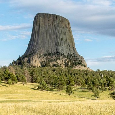 BiggerTreeRoots's profile picture. 