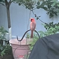M (@mjamessb) 's Twitter Profile