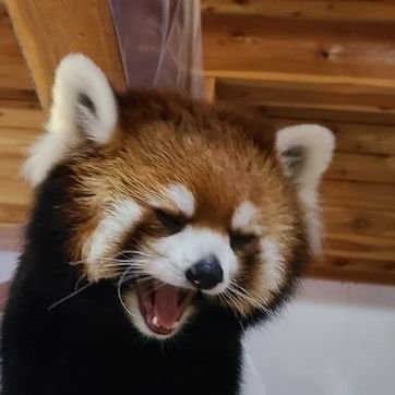 T3NTYFJ8mbiAt61's profile picture. 裏垢で作りました(o´艸`)
最近は細マッチョになるためトレーニング中😘💕【2023.10～】
ｸﾞﾐ大好き♡美味しいｸﾞﾐ教えてください♡♡
エロい人と繋がりたい𓀠𓀡 𓁉 𓀤
仲良くなりたいな〜
いっぱい思い出作りしましょう🤍
そして、飲みに行こう٩(ˊᗜˋ*)وLet's go！