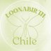 Loonabirth Chile 𐙚⋆.˚ (@loonabirthchile) Twitter profile photo Loonabirth Chile 𐙚⋆.˚ (@loonabirthchile) Twitter profile photo