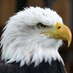 Trumpgetsit (@trumpgetsittx) Twitter profile photo Trumpgetsit (@trumpgetsittx) Twitter profile photo