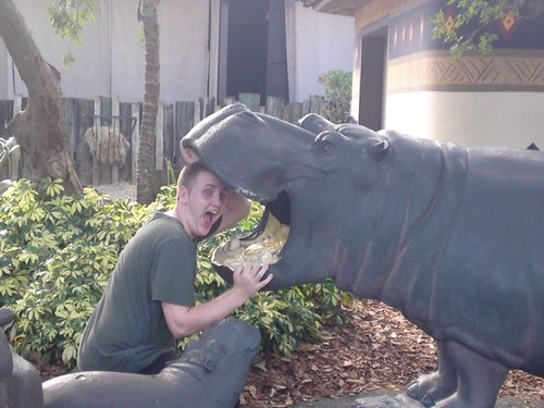 arron_cor's profile picture. Work in aviation. All views and opinions expressed are strictly my own