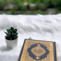 ‏﮼فـاطمه﮼ (@li__909) Twitter profile photo