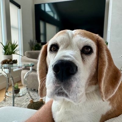 Homehappyca's profile picture. Team Leader of The HomeHappy Mortgage Team helping clients reach their dream of homeownership.