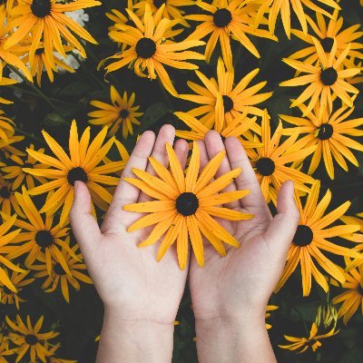 Your Garden Girl is THE hot spot to get all your outdoor garden furnishings, tools, storage, and lighting. Make your outdoor space uniquely yours.