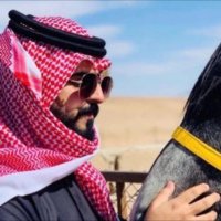 عبدالله (@bin_saduon) 's Twitter Profile Photo عبدالله (@bin_saduon) 's Twitter Profile Photo