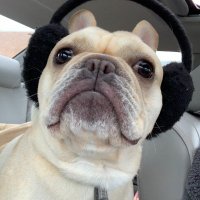 Forward In Reverse (@fowardinreverse) 's Twitter Profile