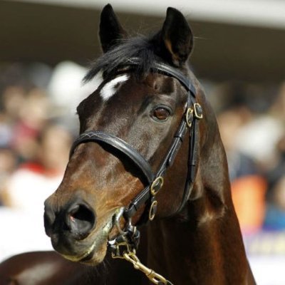ノルマンディーオーナーズクラブ、YGGオーナーズクラブ、シルクホースクラブで一口馬主をやっています。お祝いとおたおめの挨拶は基本イイネ!でお返しいたします^^汗 出資馬https://t.co/RRRlvnyVuz https://t.co/wtGQTzN8W0