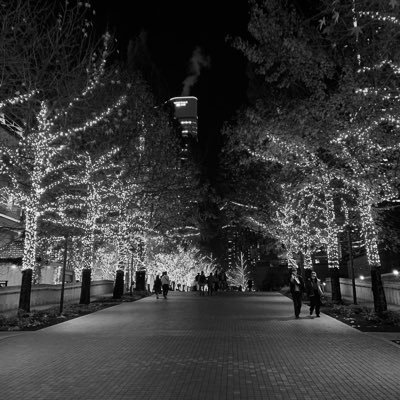 niwatori_1206's profile picture. 中西アルノさんが大好きです。新しいアカウントに移行中。このアカウントは現在使っておりません。