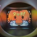 domeleft (@domeleft321) 's Twitter Profile