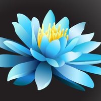 蓮花Official (@renkakata) 's Twitter Profile