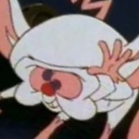 Calvin Brain (@calvinbrain97) 's Twitter Profile Photo Calvin Brain (@calvinbrain97) 's Twitter Profile Photo