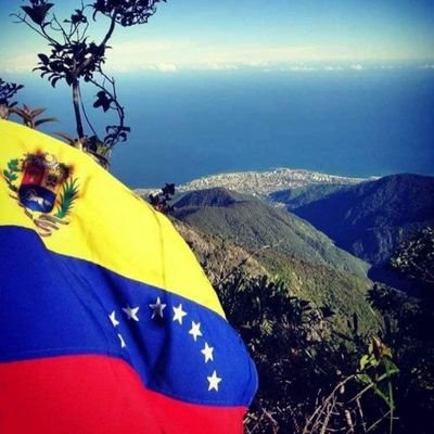 Amante de la Libertad, el arte, la naturaleza y la vida saludable.