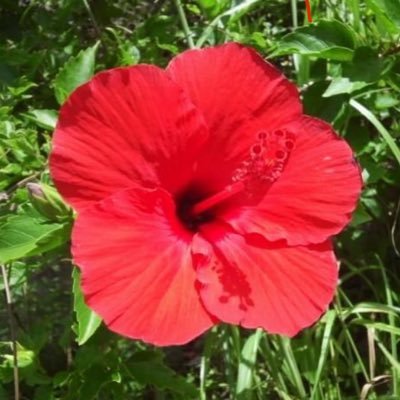 mirai_t_t's profile picture. おはよう🌞沖縄好き🌈  地理 建物好き🔭🏠  ☀️と🏖️