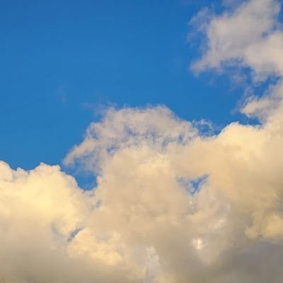 mcy102015's profile picture. #FreenBecky #ฟรีนเบค 🫶🏼🌷🪽 || :🤍)