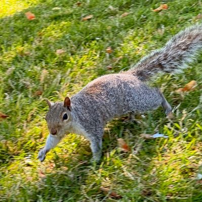 ___amatubu's profile picture. 美味しい食べ物と素敵なうつわ 🌰🐿️