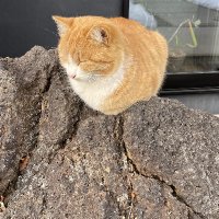 &mutex (@__mutex) 's Twitter Profile Photo