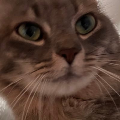 cem por cento chaotic good. este perfil não é profissional