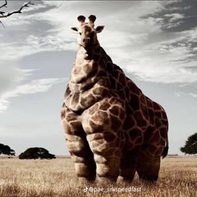 jr168444's profile picture. 