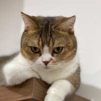 SP. (@pparnwc) 's Twitter Profile