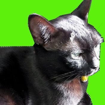 Lovelybear8888's profile picture. #ฟรีนเบค