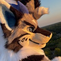 Denali 🔜 FWA/AC (@denalifur) 's Twitter Profile Photo Denali 🔜 FWA/AC (@denalifur) 's Twitter Profile Photo