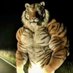 🐯 (@v1sh4kha) Twitter profile photo 🐯 (@v1sh4kha) Twitter profile photo