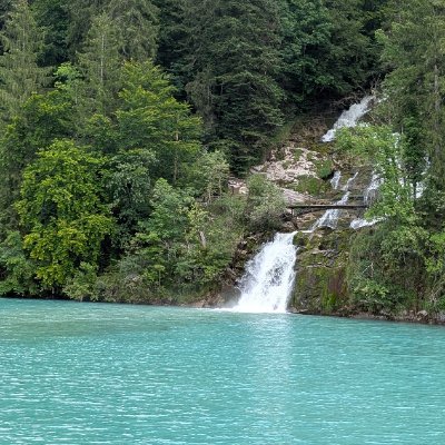 a_bordia's profile picture. 