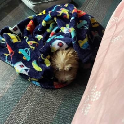 KenAxie00's profile picture. sup