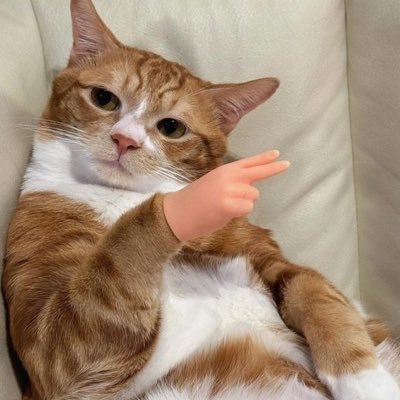noblessoblige's profile picture. 