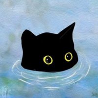 wrongtrade (@wrongtrade) 's Twitter Profile