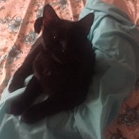 Iwerddon🍀🍀🍀 (@iwerddonz) 's Twitter Profile