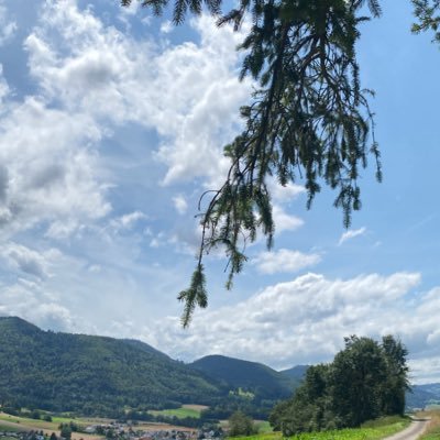 JMACC111's profile picture. 