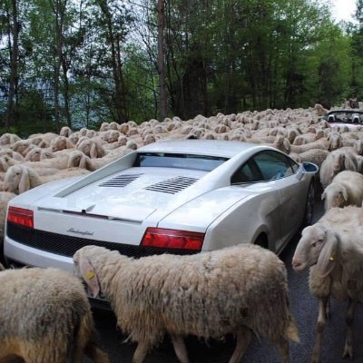 Professional day trader , price action , healthy lifestyle ,travel. Ex entrepreneur.